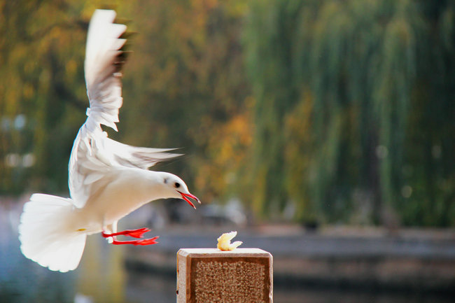 2011.11�����϶��������� 706_����_����.jpg