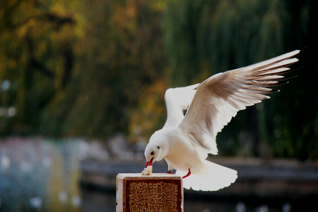 2011.11�����϶��������� 720_����1_����.jpg