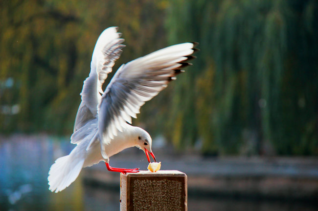 2011.11�����϶��������� 757_����_����.jpg