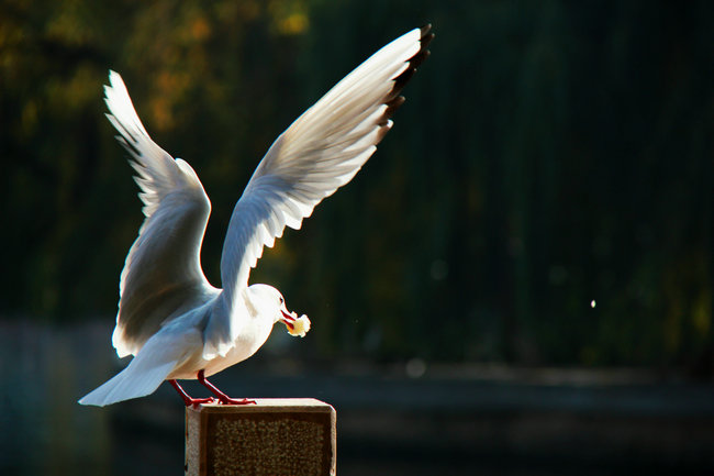 2011.11�����϶��������� 782_����_����.jpg