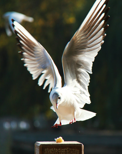 2011.11�����϶��������� 791_����_����.jpg