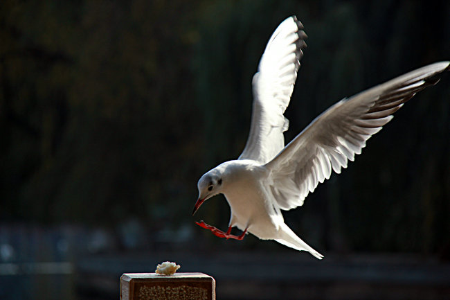 2011.11�����϶��������� 808_����_����.jpg