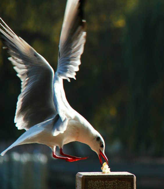 2011.11�����϶��������� 818_����_����_����.jpg