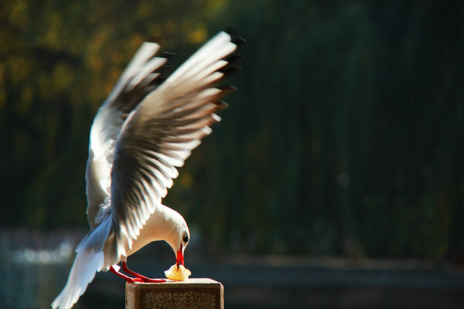 2011.11�����϶��������� 823_����_����.jpg