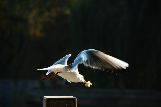 2011.11�����϶��������� 829_����_����.jpg