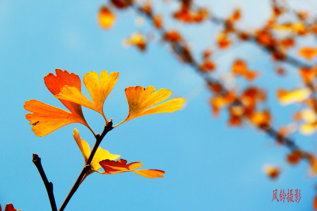 2011.11�����϶��������� 920_����_����.jpg