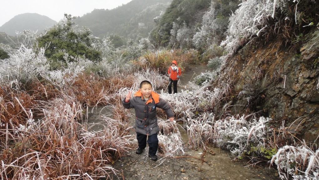 С�һ������ֲ�����ͽ���ϵ�206��ߴ���������