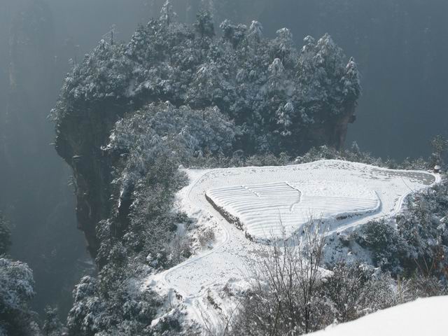 ��˵�еĿ�����԰