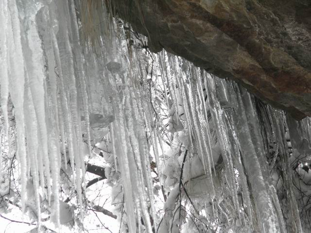 ������С IMG_5263.JPG