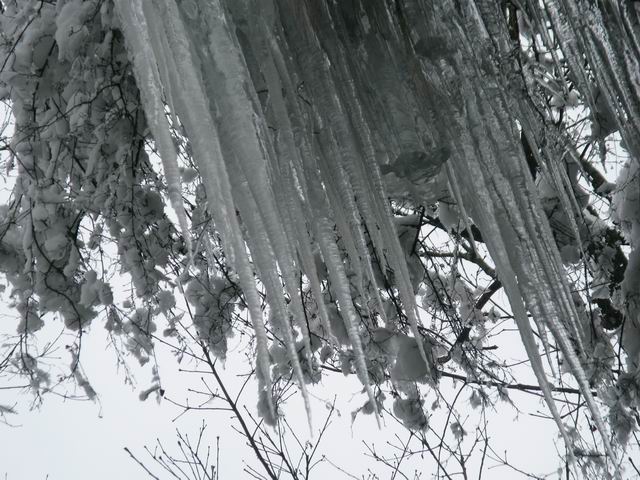 ������С IMG_5265.JPG