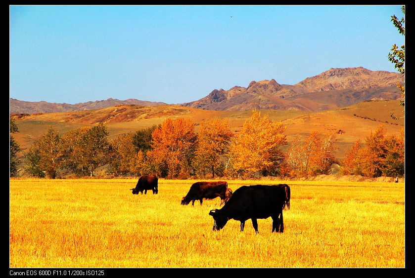 �������ػ͡������1 380_nEO_IMG.jpg