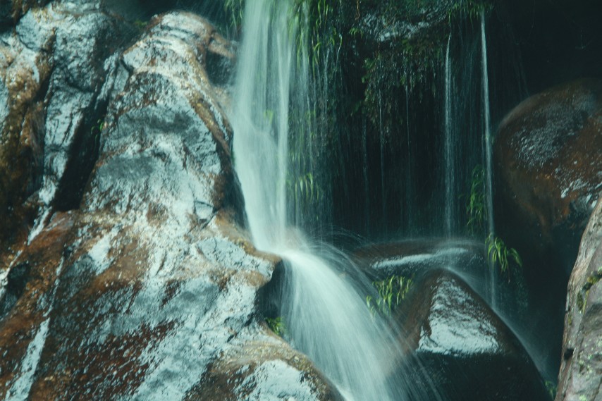 2012��Խ������ (11).JPG