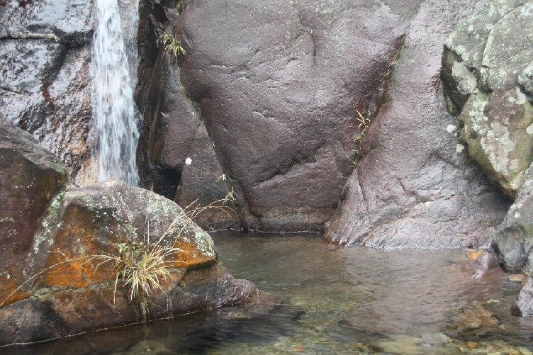 2012��Խ������ (14).JPG