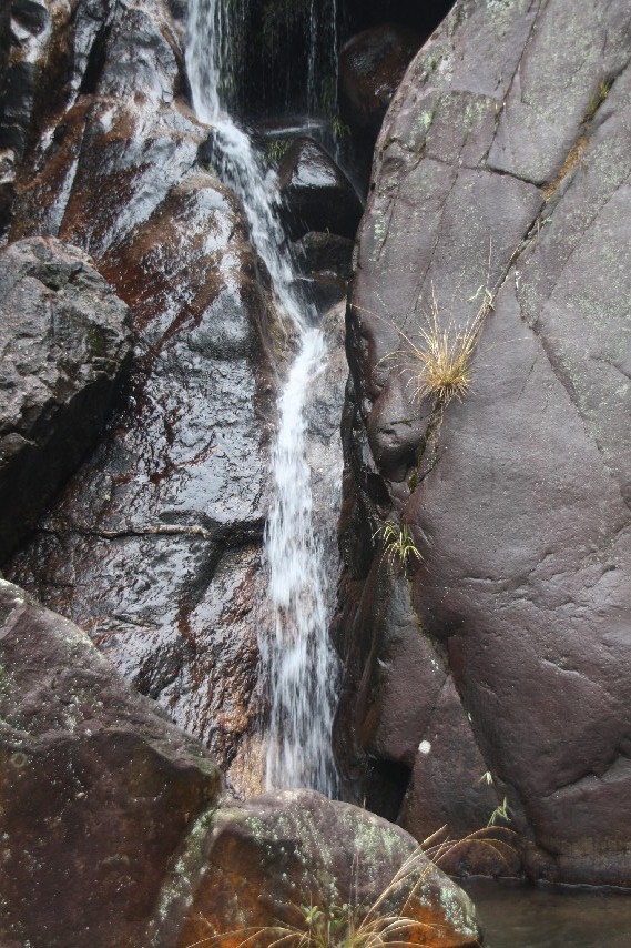 2012��Խ������ (16).JPG