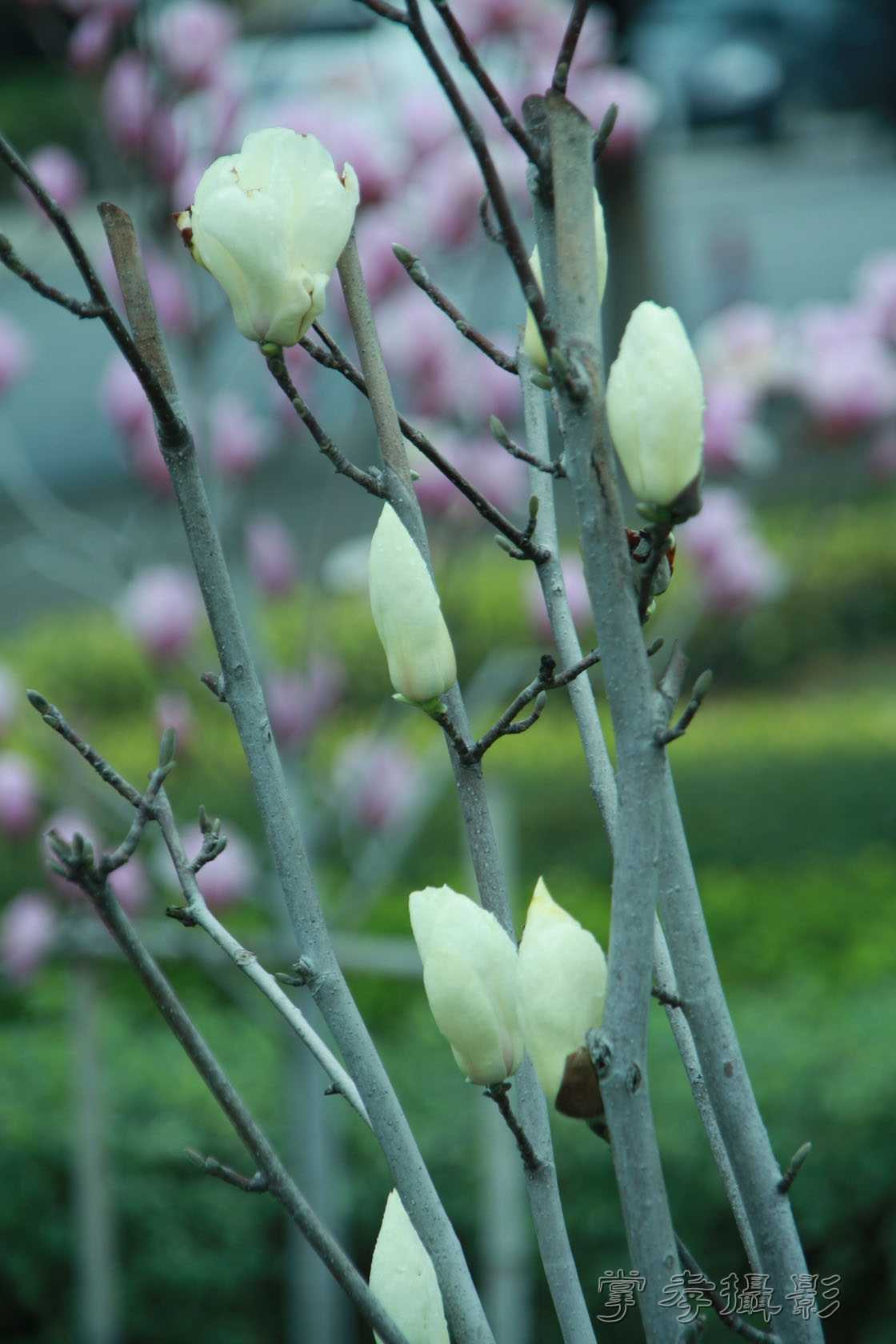 3.1�������� (2).JPG