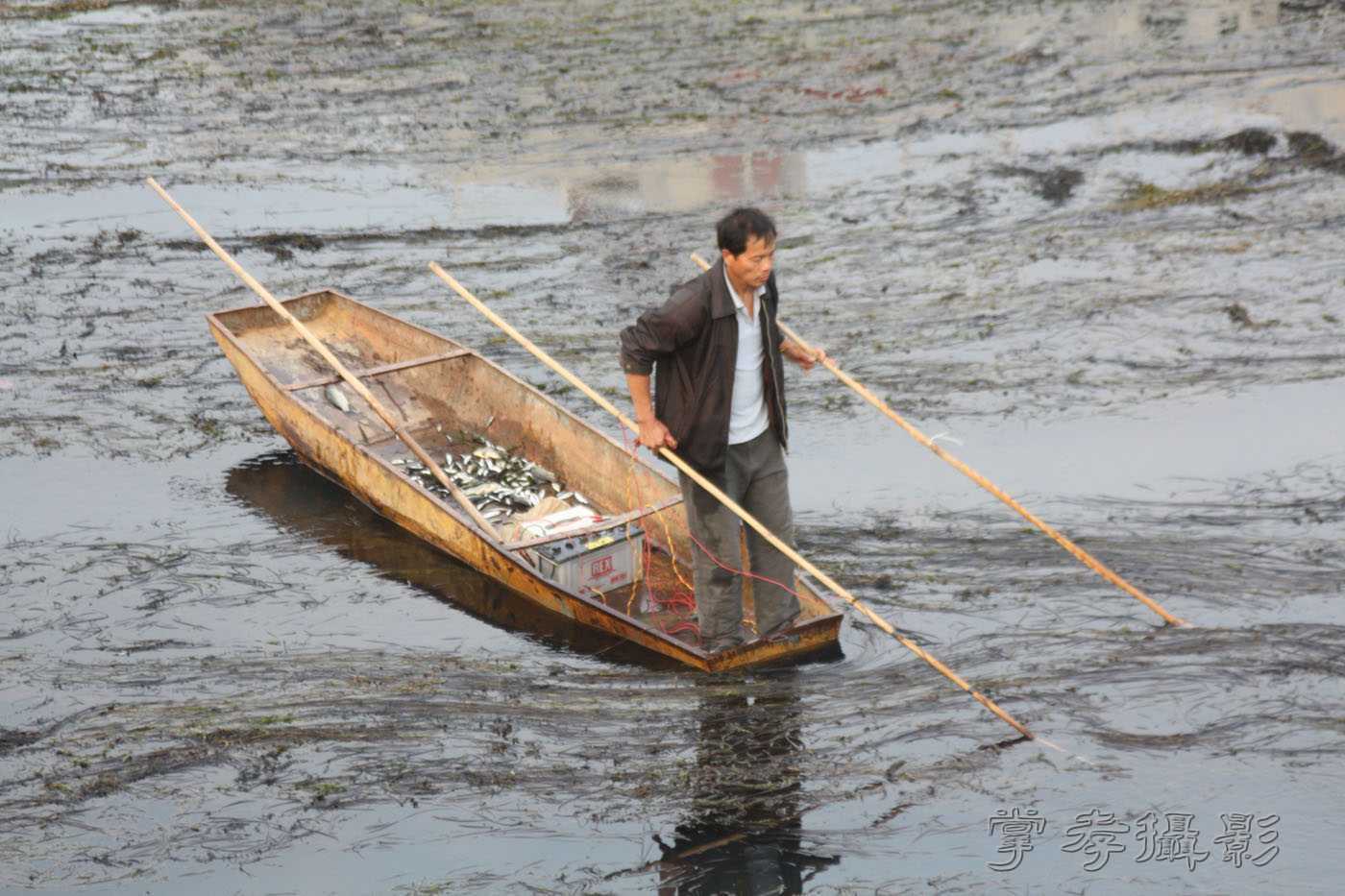 ��質�� (4).jpg