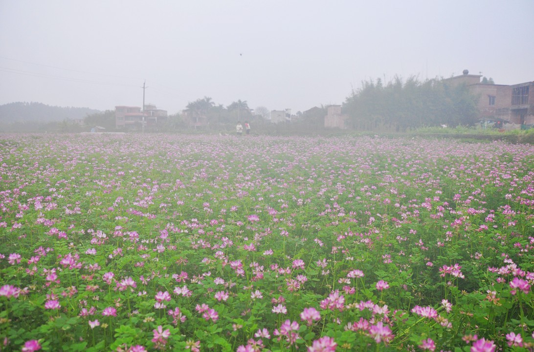 ����Ӣ 1.jpg