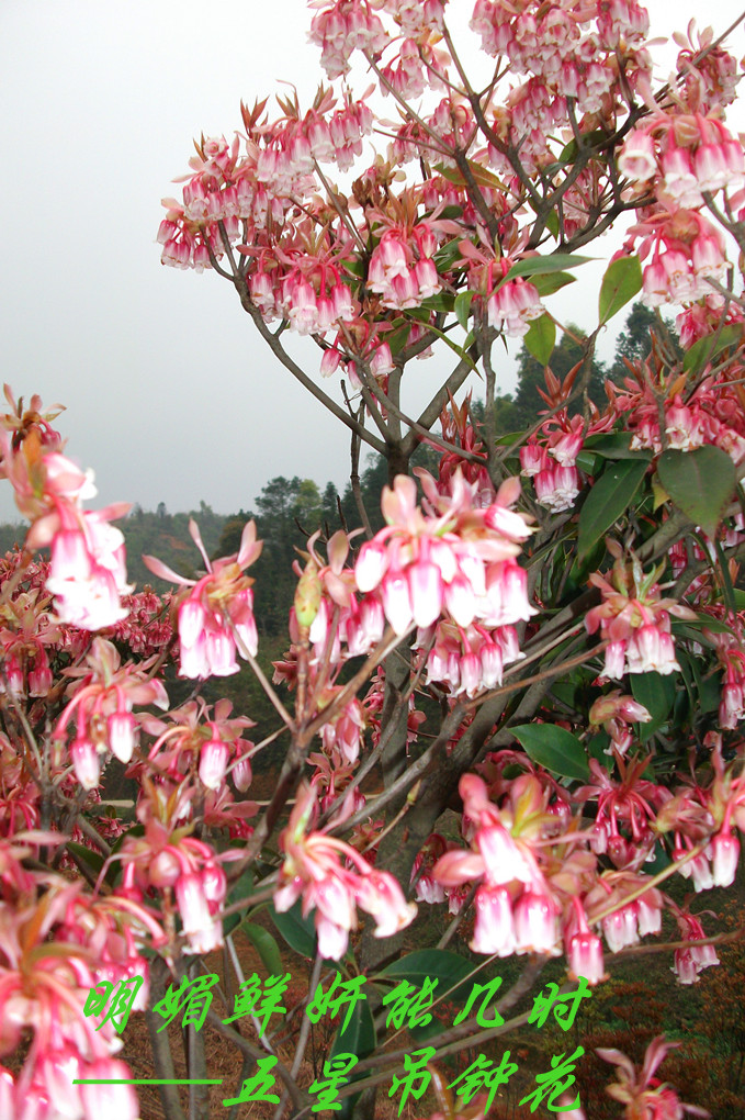 ����Ѱ�� 069.jpg