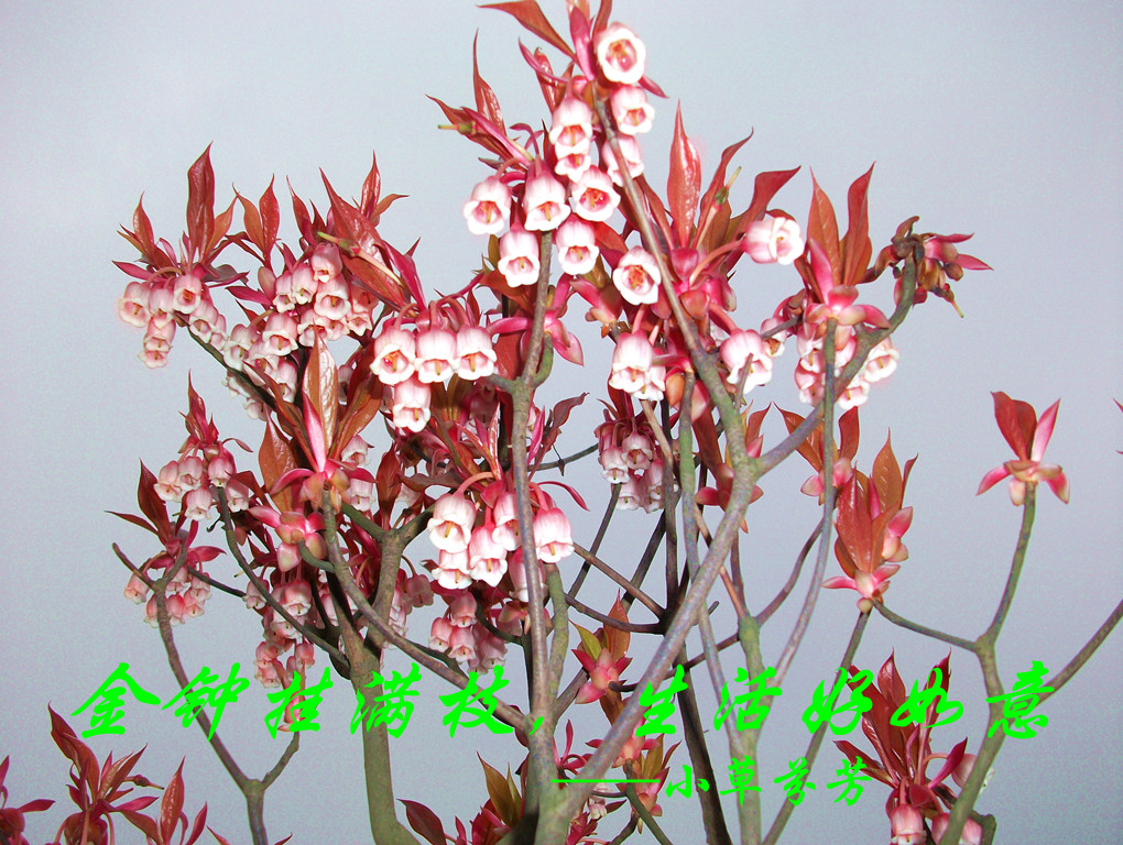 ����Ѱ�� 074.jpg