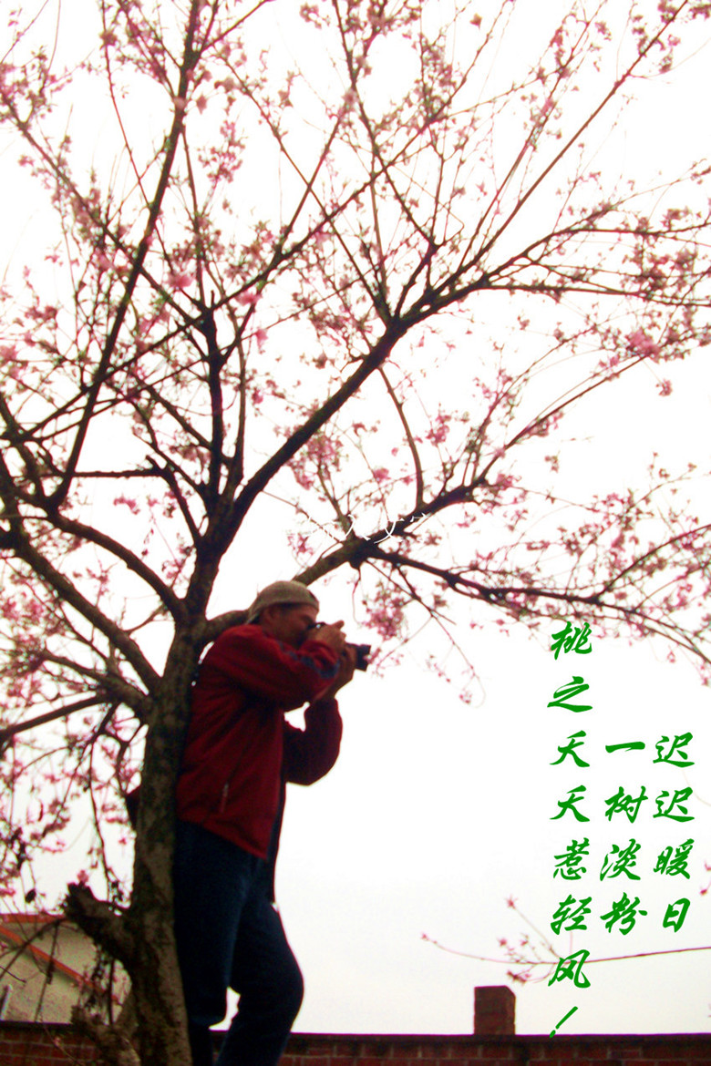 ����Ѱ�� 003011.jpg