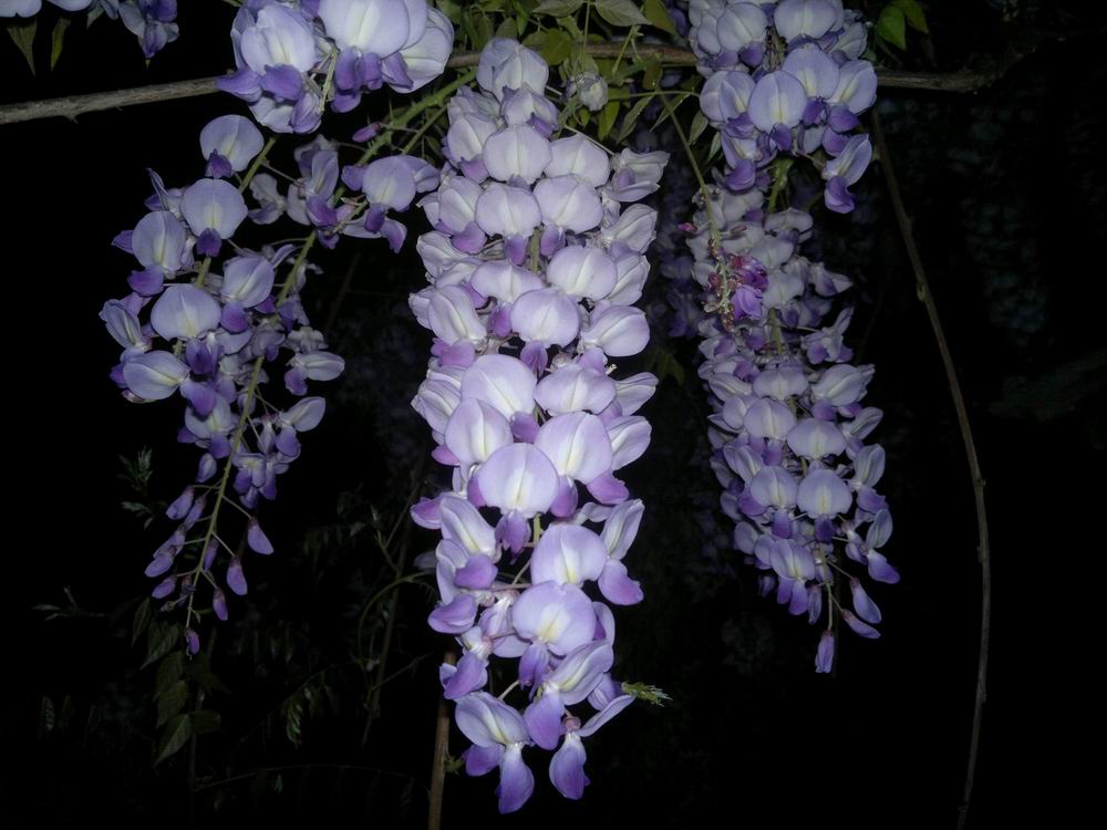 ������С ������С 201204021123.jpg