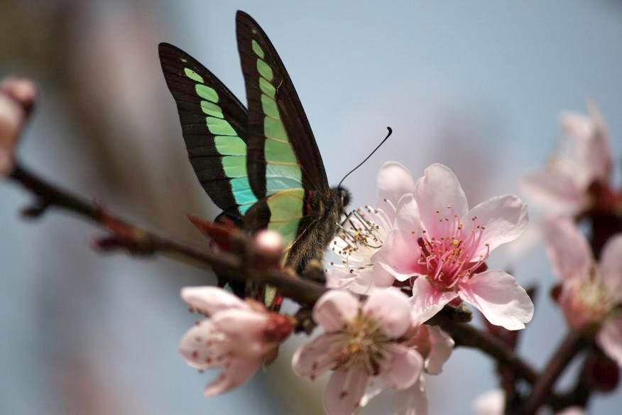 �����ع� ������С IMG_2931.jpg