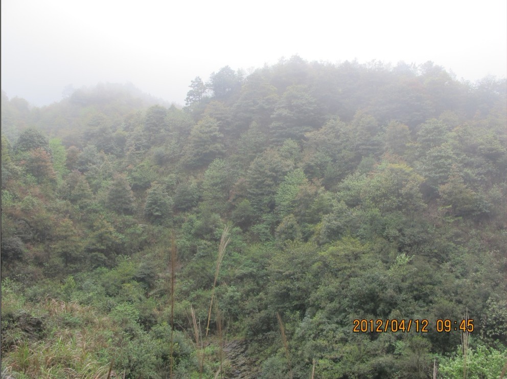 �����Ѿ���������ɽ��