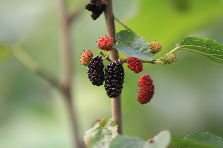 Ҳ�д��ͥม�����