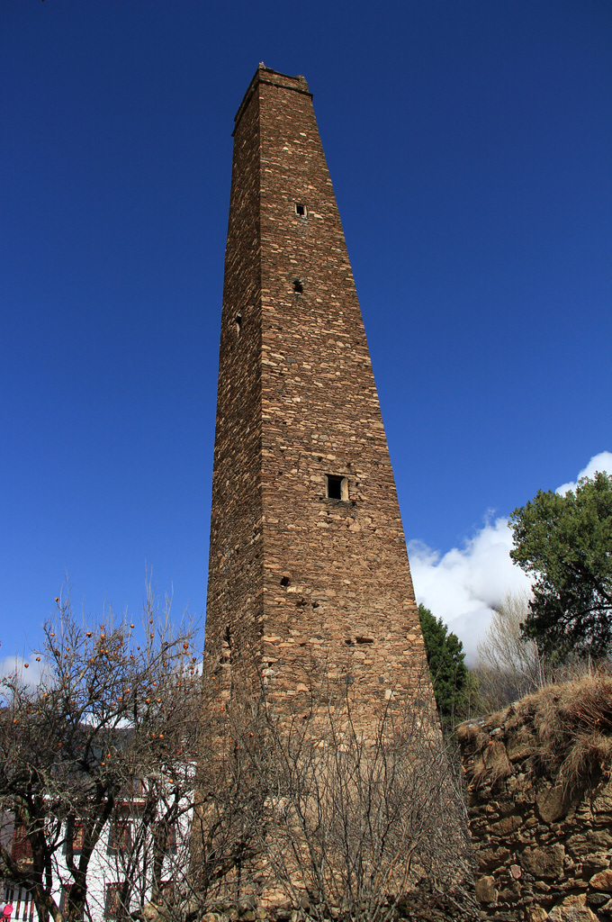 ���Ͳ�կ�ܶ��¥����˵ֻҪ��һ���������ж���ȫ���˶����æ������