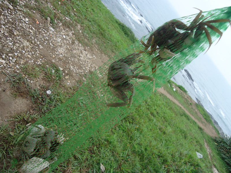 ���������������ǵ�ս��Ʒ��