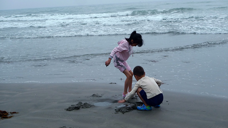 P1020875 ����.jpg