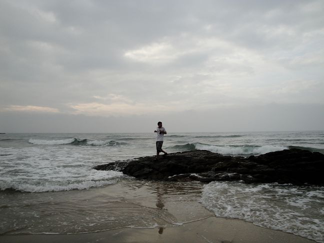 վ��ʯͷ�ϣ���һ�������󱳶�ʪ��