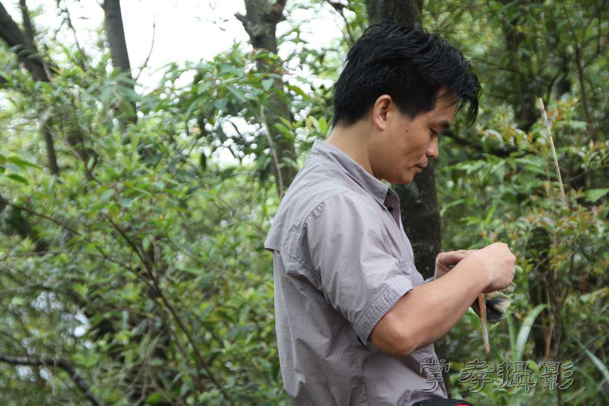 ��Ű�۷�֮����Ϊ����һ�Ŵ�Ʊ (14).jpg