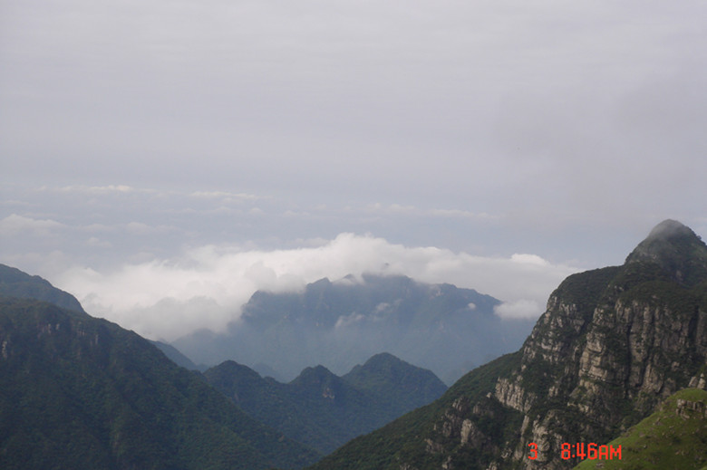 ����ס���ƶ��ϲ�����