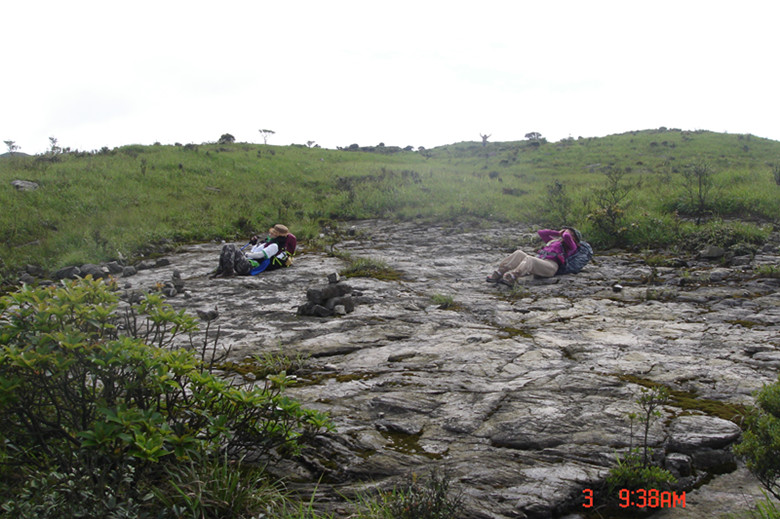 ��Ϣ�ã�׼����ɽ��ר��ɹ��Ů�ĵط�