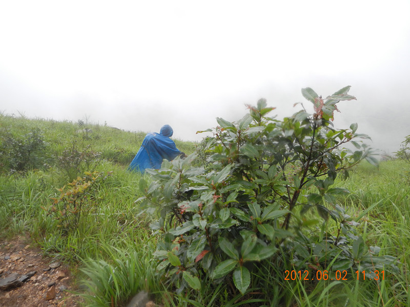 ����������