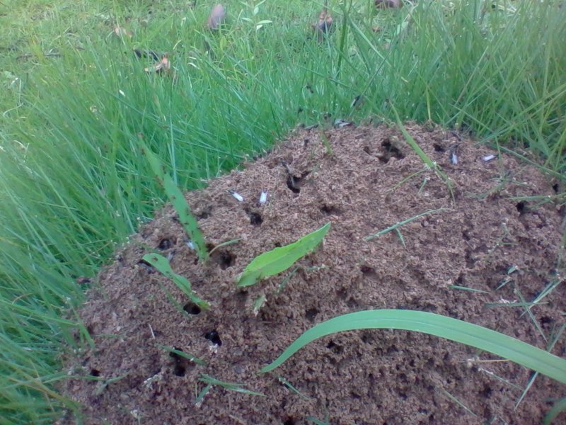 2012-06-12 09.52.12a.jpg