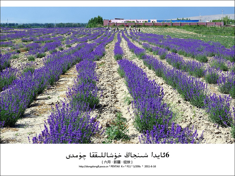 �������ѣ��������Խ���֮�ã�������Ȩ��֪ͨɾ����