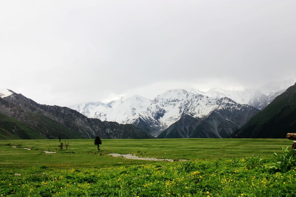 �������磬�������Ժͽ���֮�ã�������Ȩ�����֪ɾ����