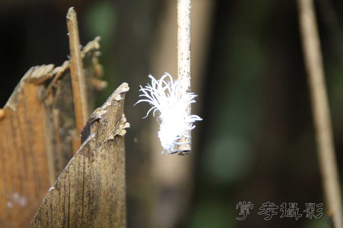 ��Ű�۷�֮����Ϊ����һ�Ŵ�Ʊ (17).jpg