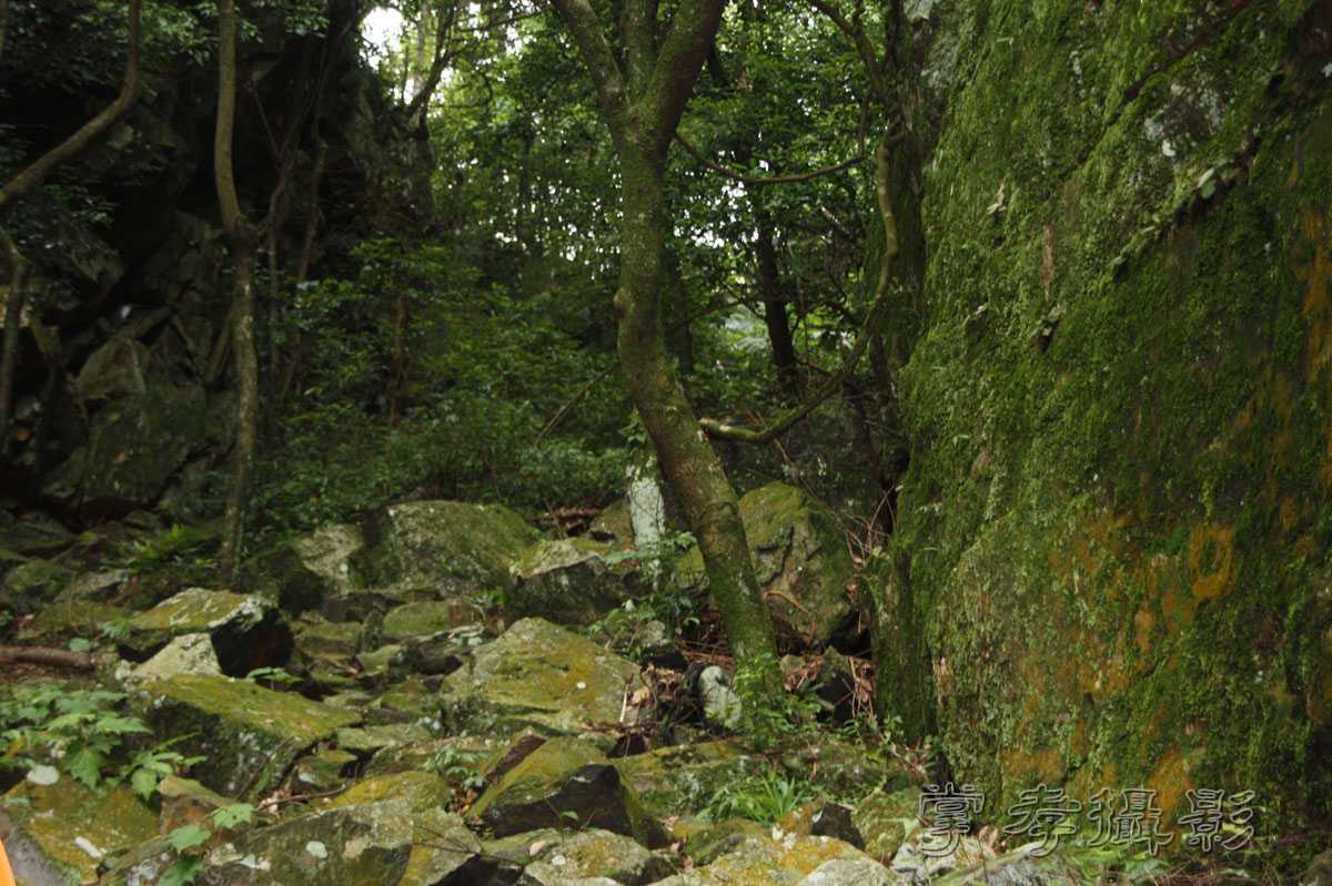 ��Ű�۷�֮����Ϊ����һ�Ŵ�Ʊ (41).jpg