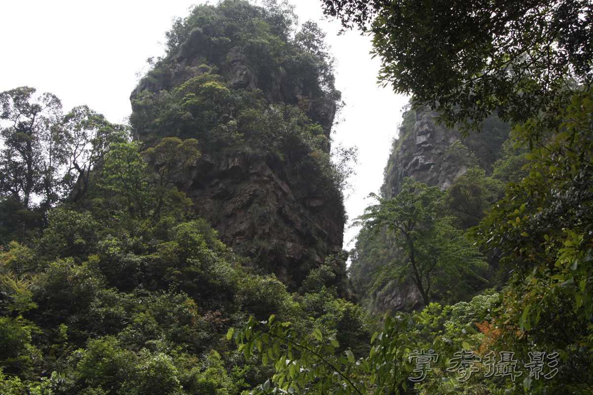 ��Ű�۷�֮����Ϊ����һ�Ŵ�Ʊ (52).jpg