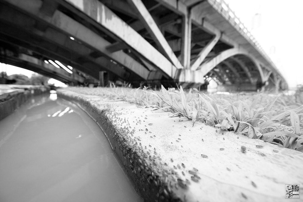 ��������ˮ��