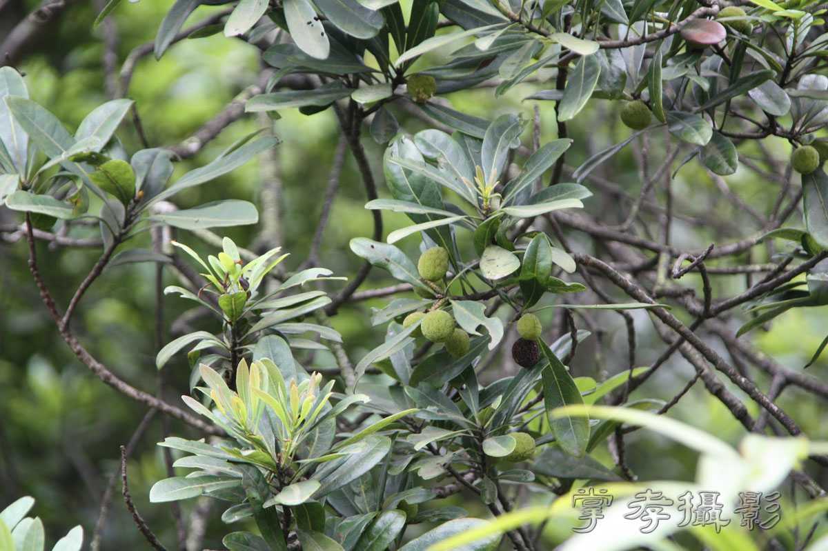 ��Ű�۷�֮����Ϊ����һ�Ŵ�Ʊ (63).jpg