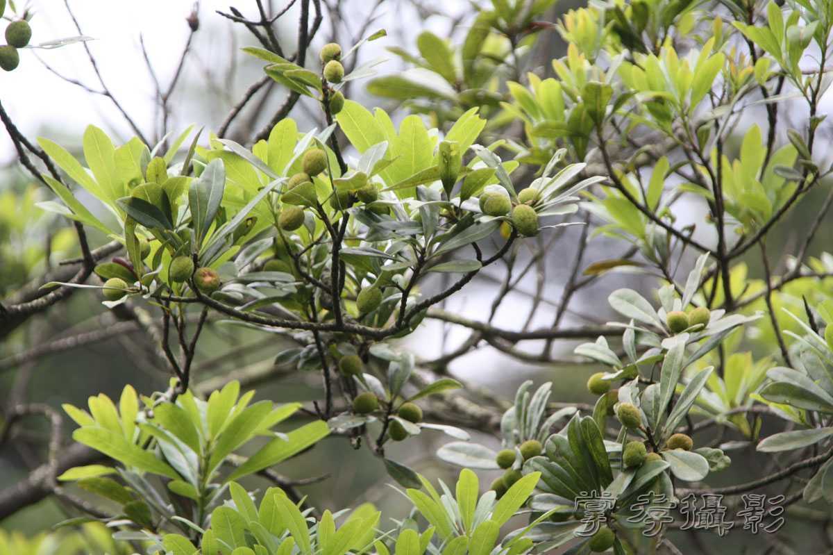 ��Ű�۷�֮����Ϊ����һ�Ŵ�Ʊ (64).jpg