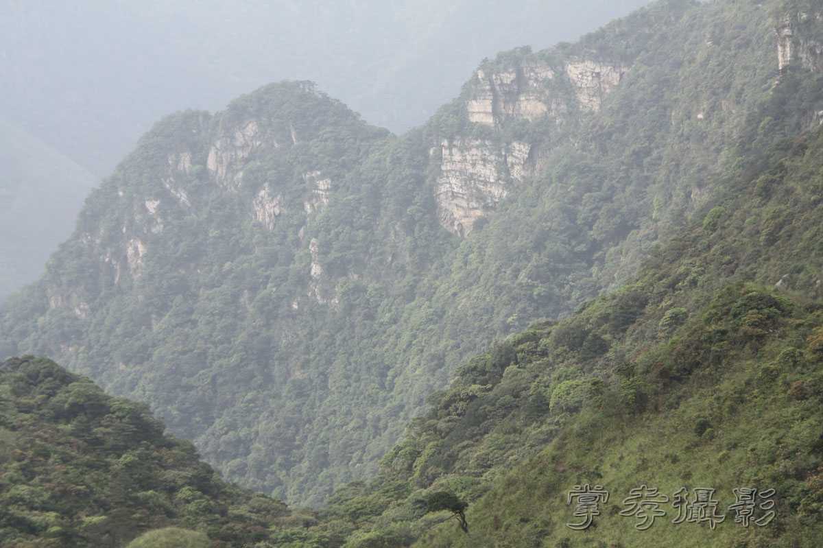 ��Ű�۷�֮����Ϊ����һ�Ŵ�Ʊ (72).jpg