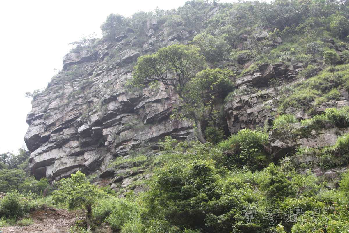 ��Ű�۷�֮����Ϊ����һ�Ŵ�Ʊ (58).jpg