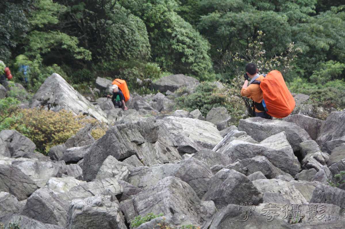 ��Ű�۷�֮����Ϊ����һ�Ŵ�Ʊ (78).jpg