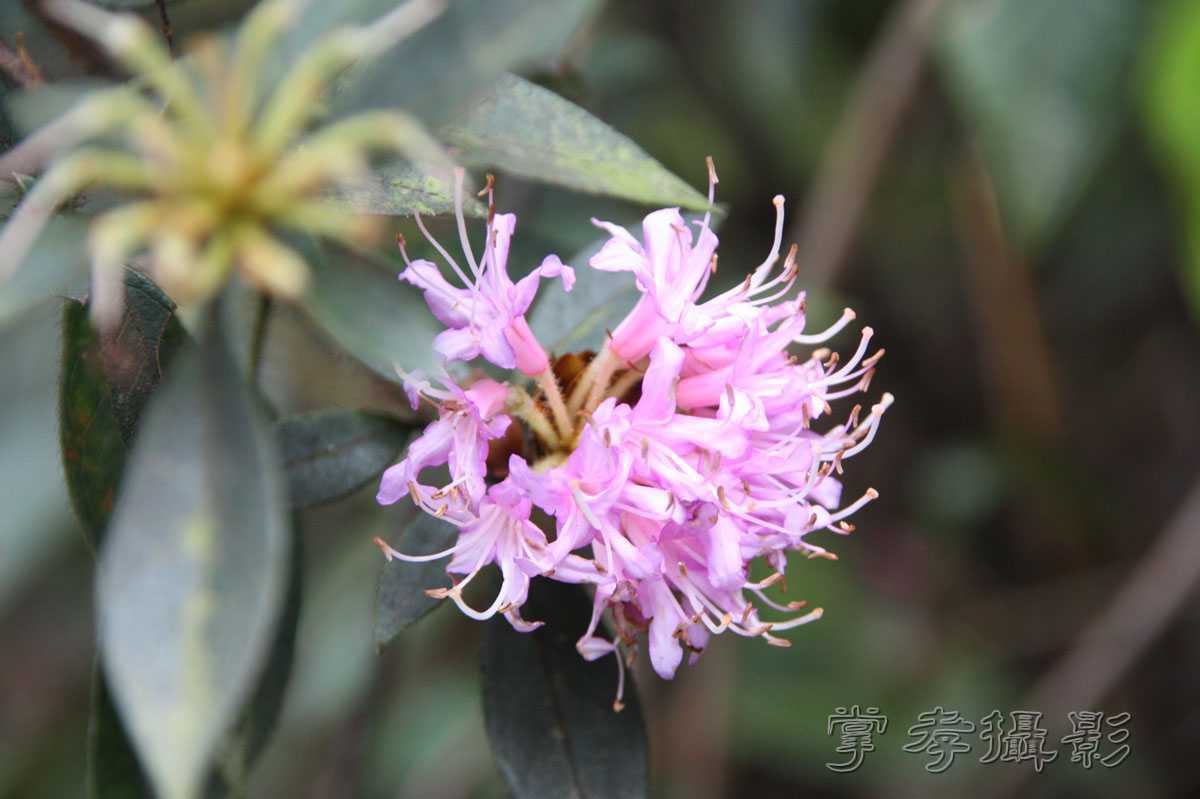 ��Ű�۷�֮����Ϊ����һ�Ŵ�Ʊ (60).jpg