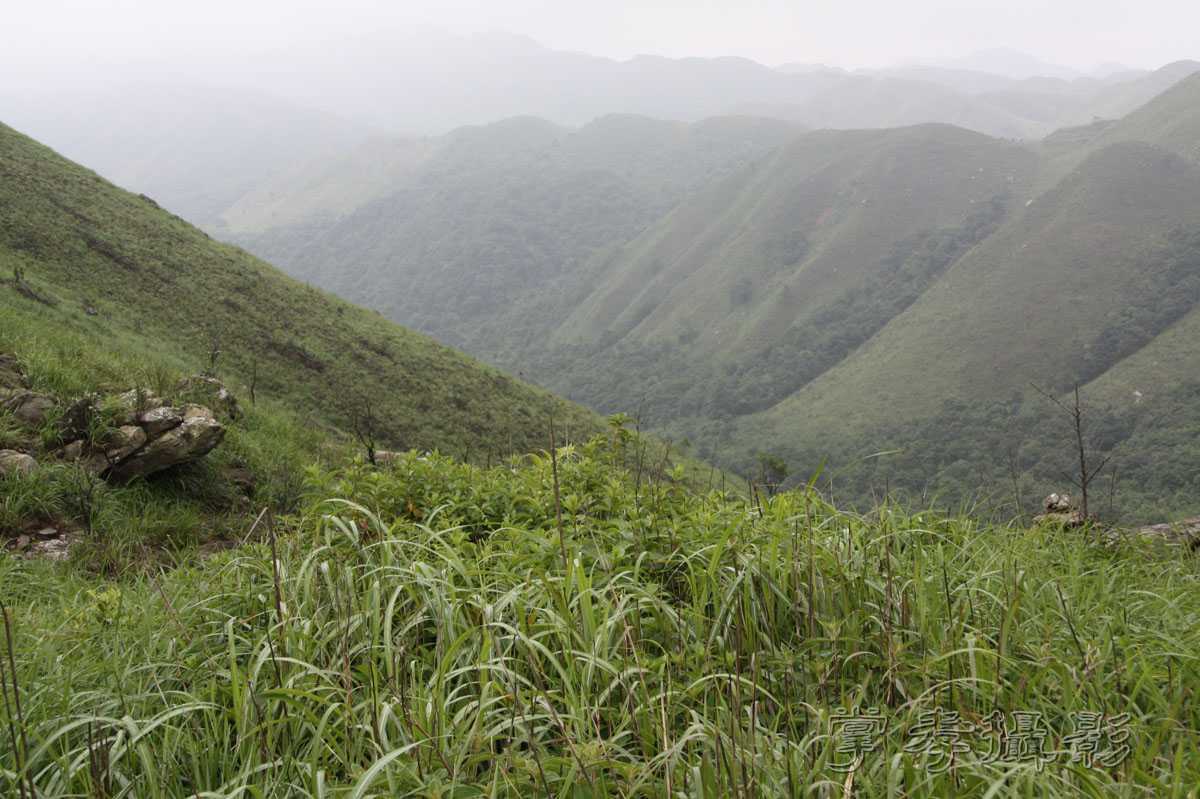 ��Ű�۷�֮����Ϊ����һ�Ŵ�Ʊ (101).jpg